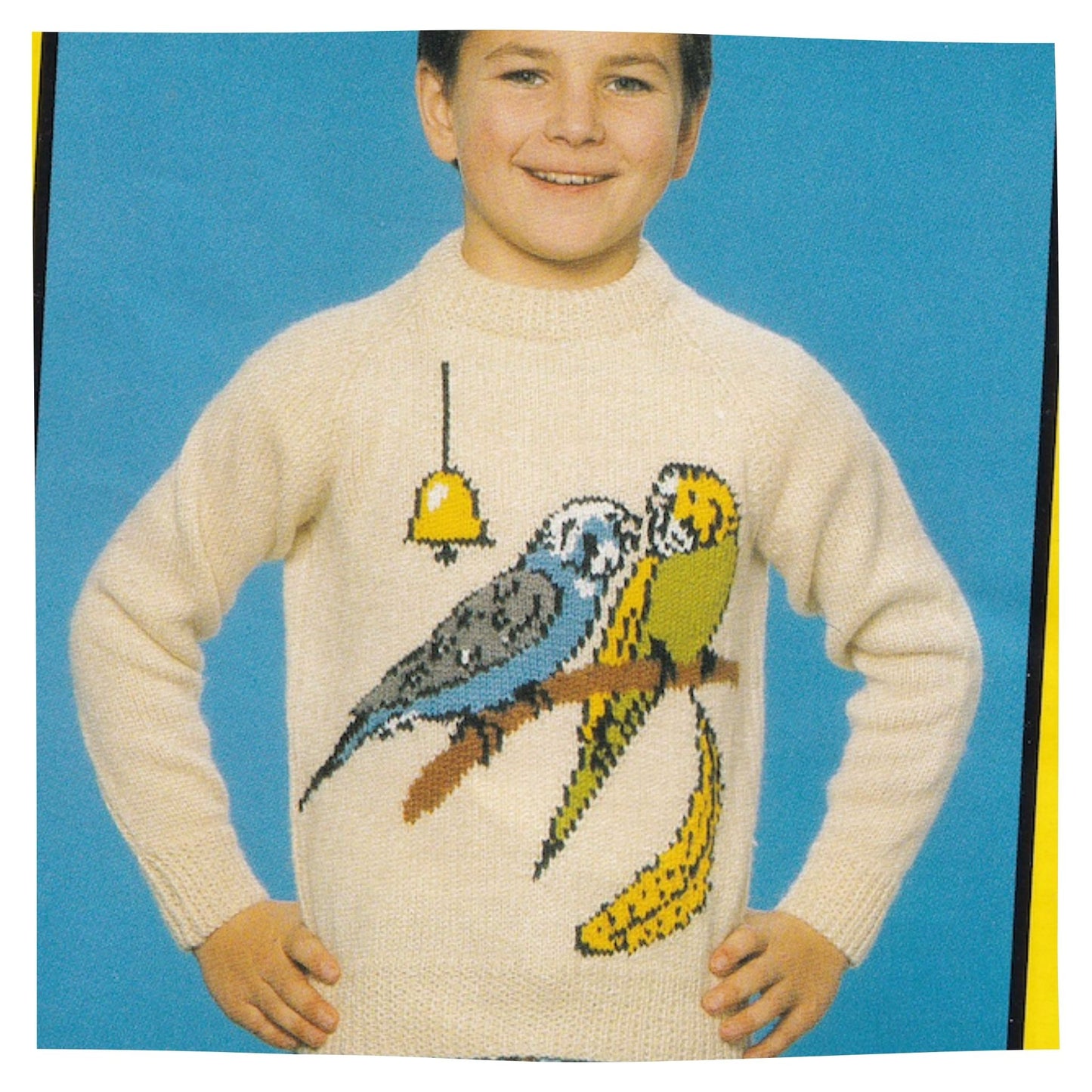 Budgies Intarsia Chart Picture Sweaters Knitting Pattern