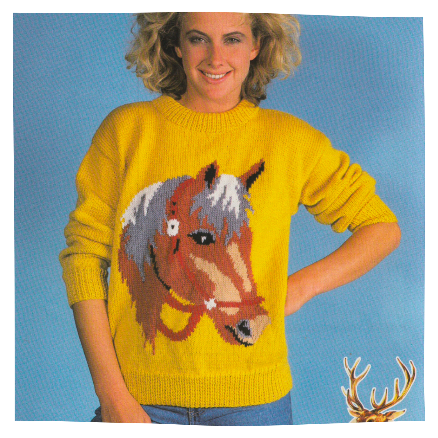 Horse Picture Intarsia Sweater Vintage Knitting Pattern for Adults and Children