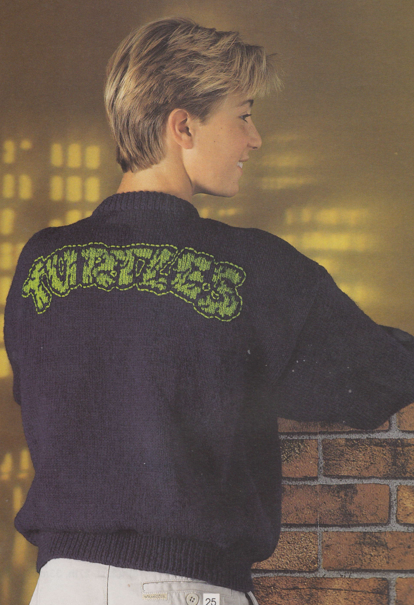 TMNT Intarsia Picture Sweaters Knitting Pattern